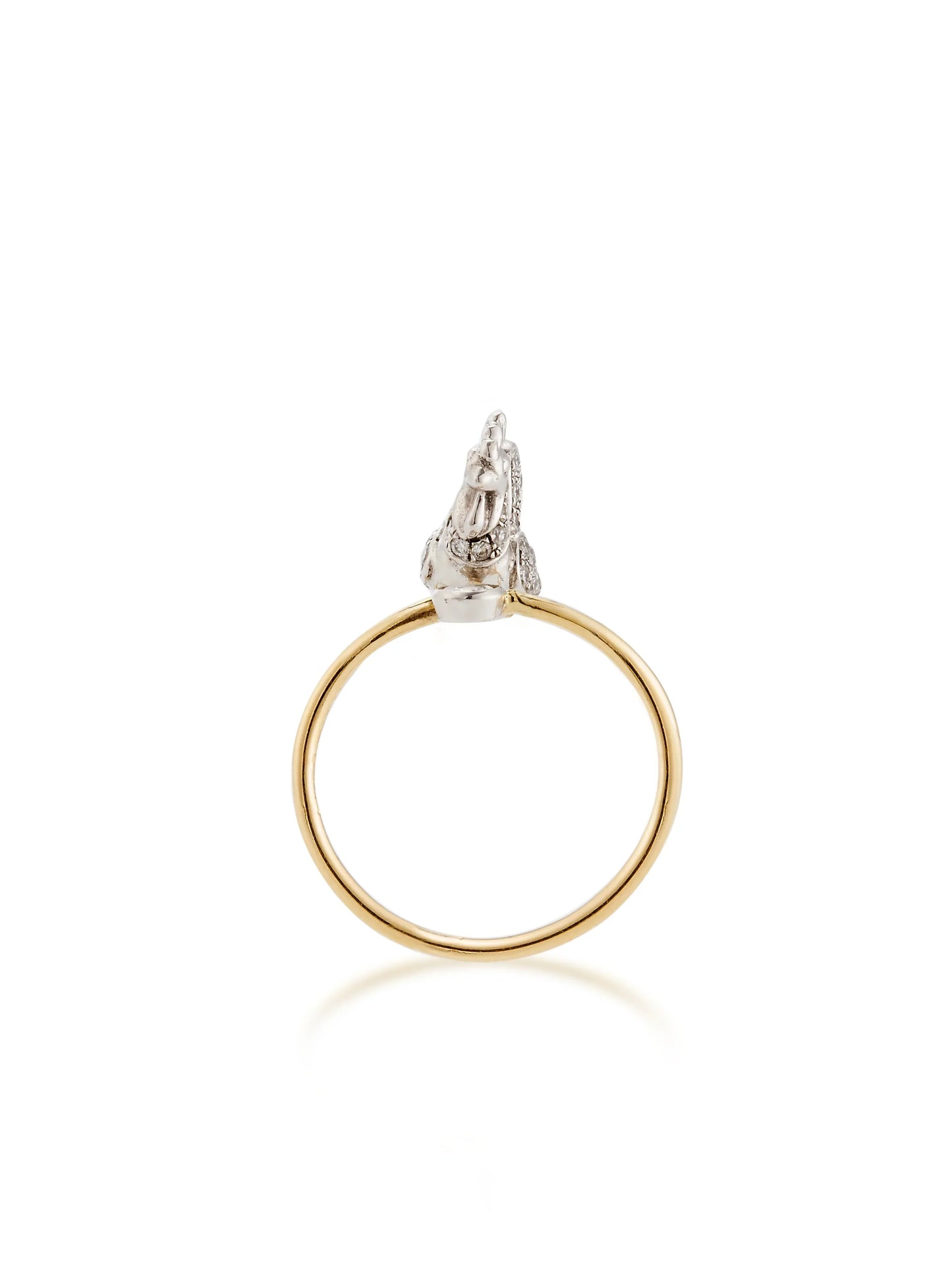 Chicken Ring