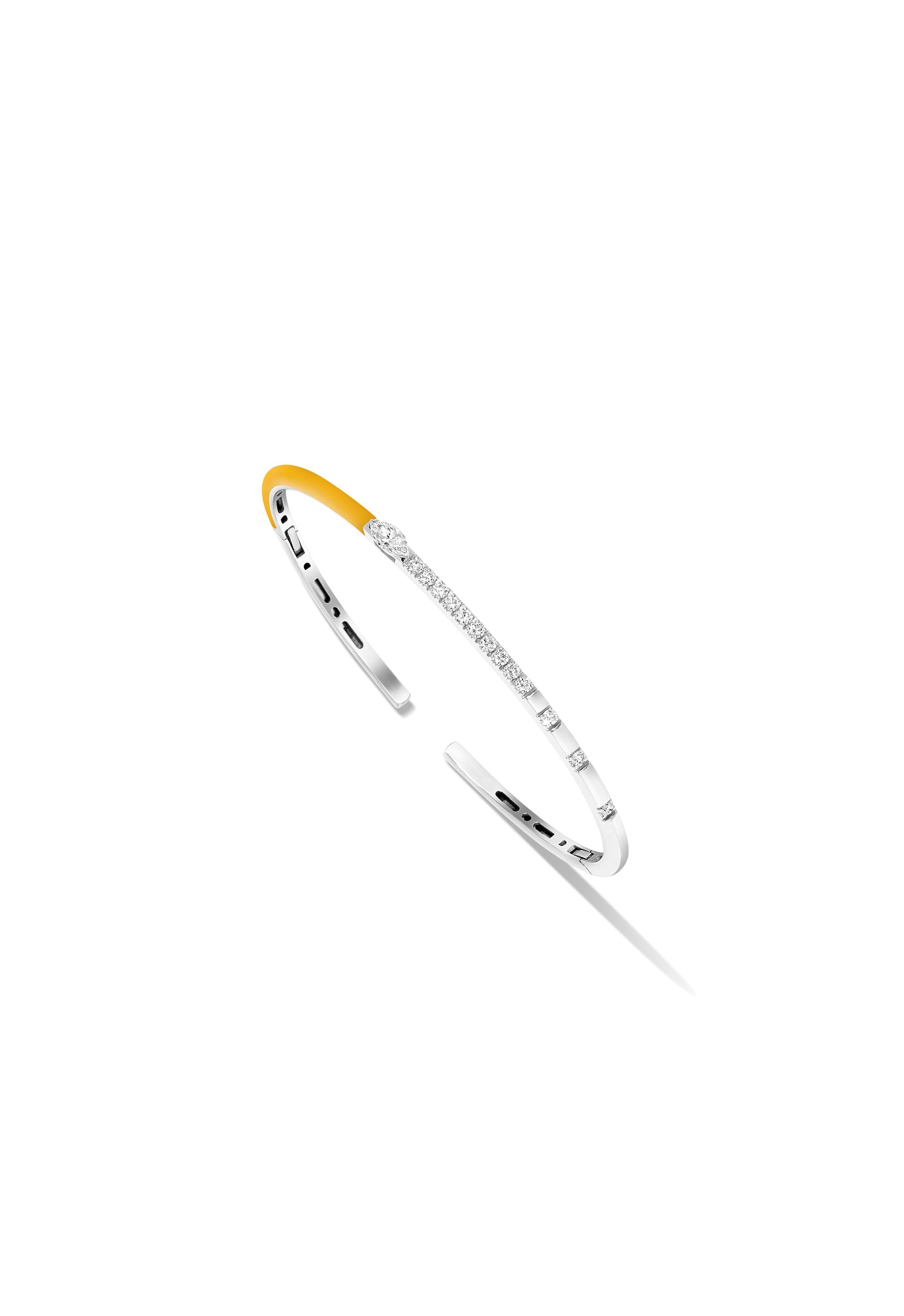 Antoinette Bangle